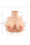 Buste faux seins, col haut, Bonnet C