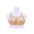 Buste faux seins, 100% silicone encolure ronde, Bonnet C