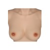 Buste faux seins new design, bonnet B, col haut