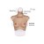 Buste faux seins new design, bonnet B, col haut