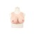 Buste faux seins silicone, bonnet B/C/D/E/F/G, encolure ronde