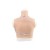 Buste fausse poitrine, col haut, Bonnet H