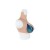 Buste faux seins new design, col haut