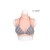 Buste faux seins prix discount, encolure ronde