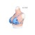 Buste faux seins prix discount, encolure ronde