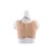 Buste faux seins silicone, un look tendance, encolure ronde