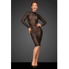 Robe sexy transparente F182