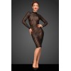 Robe sexy transparente F182