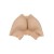 Panty fesses hanches en silicone, un look parfait pour Femme