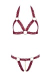 Soutien-gorge ouvert et string rouge à larges bandes sexy - R2213010