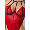 Body ouvert Akita