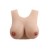 Buste faux seins, vaisseaux apparents, encolure ronde