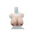 Buste faux seins, vaisseaux apparents, encolure ronde