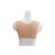 Buste faux seins, vaisseaux apparents, encolure ronde