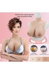Buste faux seins, vaisseaux apparents comme une poitrine de femme