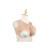 Buste faux seins, encolure ronde, poitrine volumineuse