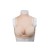 Buste Faux Seins Silicone Col Haut - Le Petit Prix Qui Change Tout !