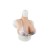 Buste Faux Seins + Panty Silicone – Transformation Complète