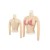 Buste faux seins manches longues