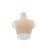 Buste faux seins, vaisseaux apparents, col haut