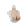 Buste faux seins, vaisseaux apparents, col haut