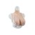 Buste faux seins, vaisseaux apparents, col haut