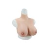 Buste faux seins, vaisseaux apparents, col haut