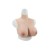 Buste faux seins, vaisseaux apparents, col haut
