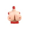 Buste Faux seins énormes réalistes en silicone