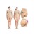 Fausses hanches et fesses en silicone – Silhouette féminine