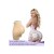 Panty galbant en silicone  – Fausses fesses et hanches pour une silhouette féminine parfaite