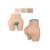 Panty fesses hanches en silicone, un look parfait pour Femme