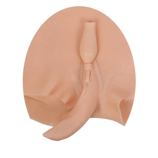 Culotte réaliste trangenre, en silicone